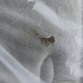 Super King mattress Image 2