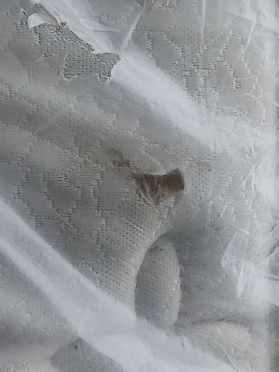 Super King mattress