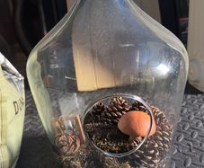 Terrarium vase