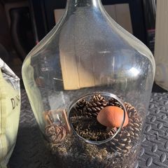 Terrarium vase