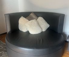 TV Couch