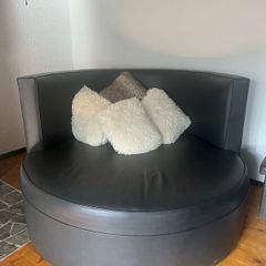 TV Couch