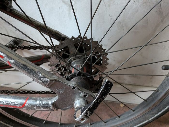 Isla bike 20