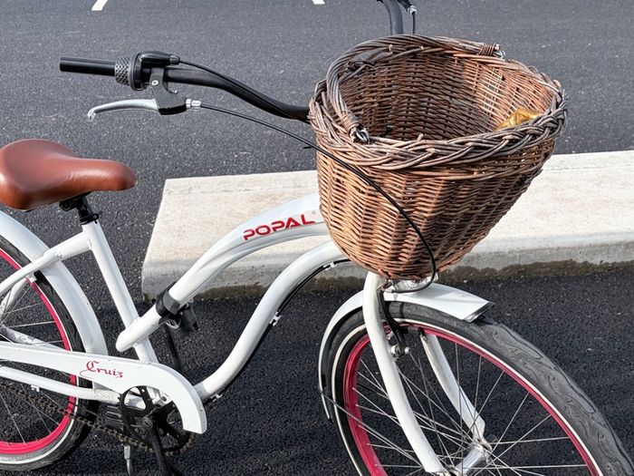 Popal dutch female city Bike
