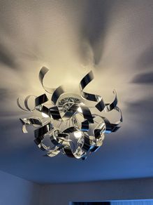Living ceiling lamp
