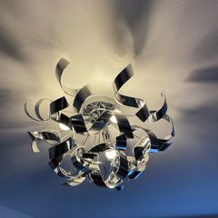 Living ceiling lamp