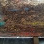 Spider World Ant World Worm World Bird Viewer Aqua Dragons Image 5