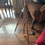 tripod lamp Image 3