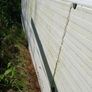 insulated roof sheets Image 5