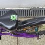 Frog bike 52 Image 5