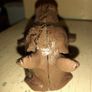 Cast Iron Hirse Head Doir Knocker Image 5