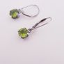 Earrings - Gold/Silver Plated Image 8