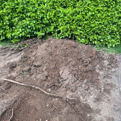 Free topsoil/grass