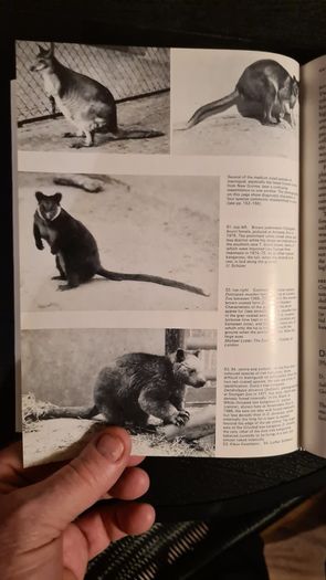 International Zoo Yearbook Volume 18. Edited By P. J. S. Olney. Published By The Zoological Society Of London. First Edition. Hardback With Dustjacket In Very Good Condition.