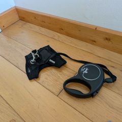 xs dog harness and leash