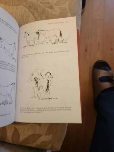 The Behaviour Of Horses. In Relation To Managment And Training.  By Dr Marthe Kiley-worthington. First Edition Hardback With Dustjacket In Good Condition.