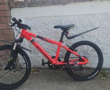 Rockrider  Red Rockrider St 900 20 "
