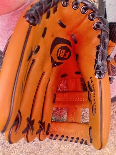 Baseball Glove