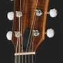 Taylor 24ce (As New) Image 4
