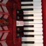 Parrot 72 Key Bass Accordion Image 5