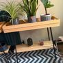 plant shelfs 2x including plants Image 3