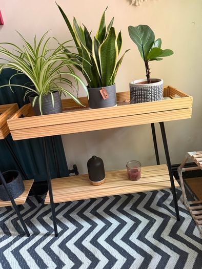 plant shelfs 2x including plants