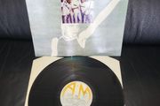 The Dickies: great dictations LP