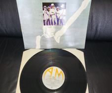 The Dickies: great dictations LP