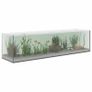 Aquarium Image 2
