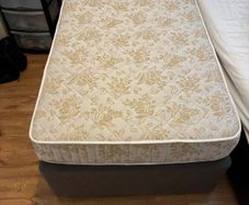 Single Orthopaedic Mattress and Base
