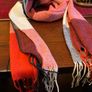 New warm and cosy scarf in shades of rust ,cream black and burnt orange Image 9