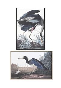 NEW 2 Large Format Framed Bird Artworks