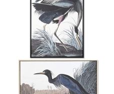 NEW 2 Large Format Framed Bird Artworks