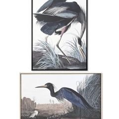 NEW 2 Large Format Framed Bird Artworks