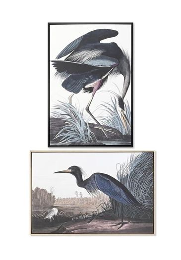 NEW 2 Large Format Framed Bird Artworks