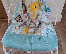 Baby bouncer