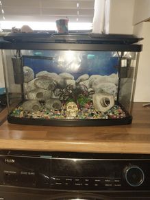 40 liter full glass aquarium with 2 filters and lots of extras