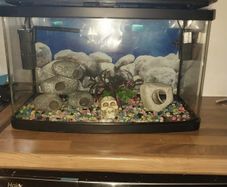 40 liter full glass aquarium with 2 filters and lots of extras
