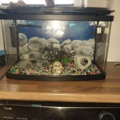 40 liter full glass aquarium with 2 filters and lots of extras