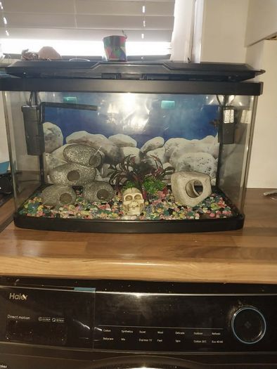40 liter full glass aquarium with 2 filters and lots of extras