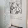 Susanna Campaigns by Marjorie Phillips (HQ824) Image 4
