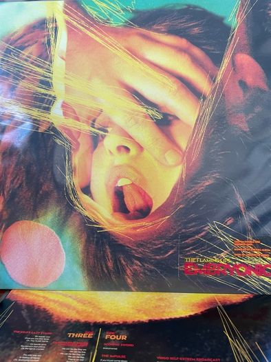 The Flaming Lips - Embryonic