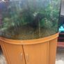 fish tank Image 4