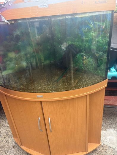 fish tank