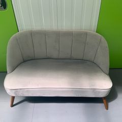 Velvet couch