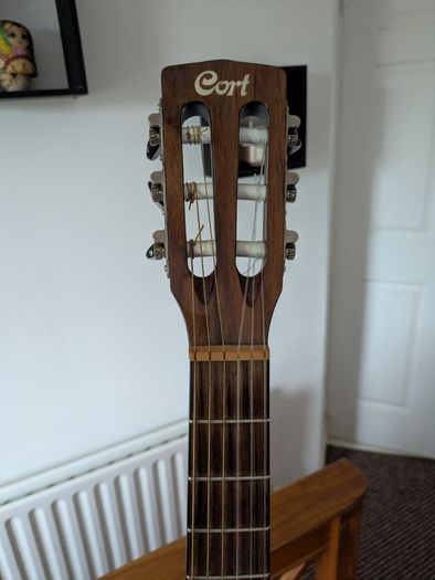 Cort Nylectric Guitar