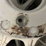 Xxr alloys Image 7