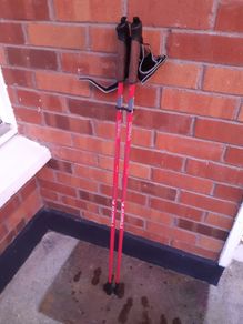 Hiking/Trekking Poles