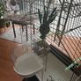 bird cage - for small birds Image 5