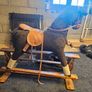 Rocking Horse Image 3